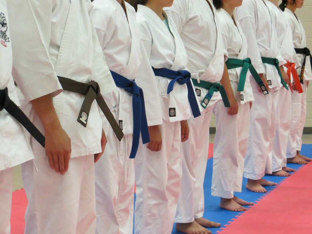 Edmonton Gojukai Karate Club photo